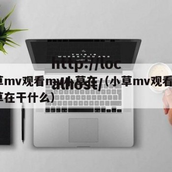 小草mv观看mv小草在（小草mv观看mv小草在干什么）